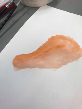 60038084_362627977937923_5228136214791454720_n